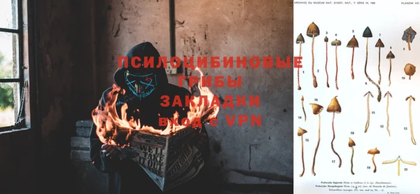 крисы Балабаново